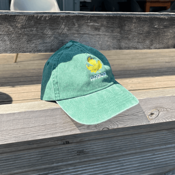 Classic Cap (Washed Green)