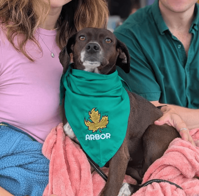 Pet Bandana (Green)